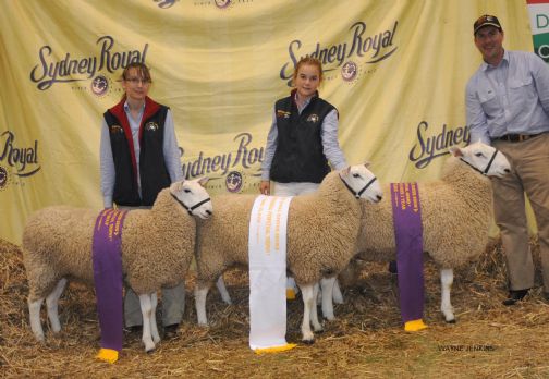 /edit/Images/2011 SYDNEY ROYAL SHOW 642 RET.JPG /edit/Images/2011 SYDNEY ROYAL SHOW 642 RET.JPG